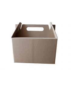 20X5X18 Box Lunch
