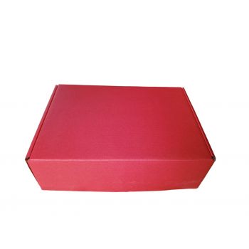 25*17*8 rojo