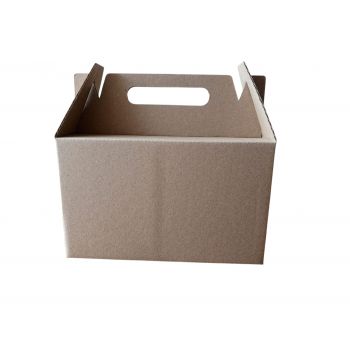 20X5X18 Box Lunch